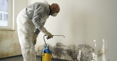 mold testing